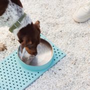 Fons, FNS, drinking fountain, design: David Karasek, Viktor Sasinka, Czechia